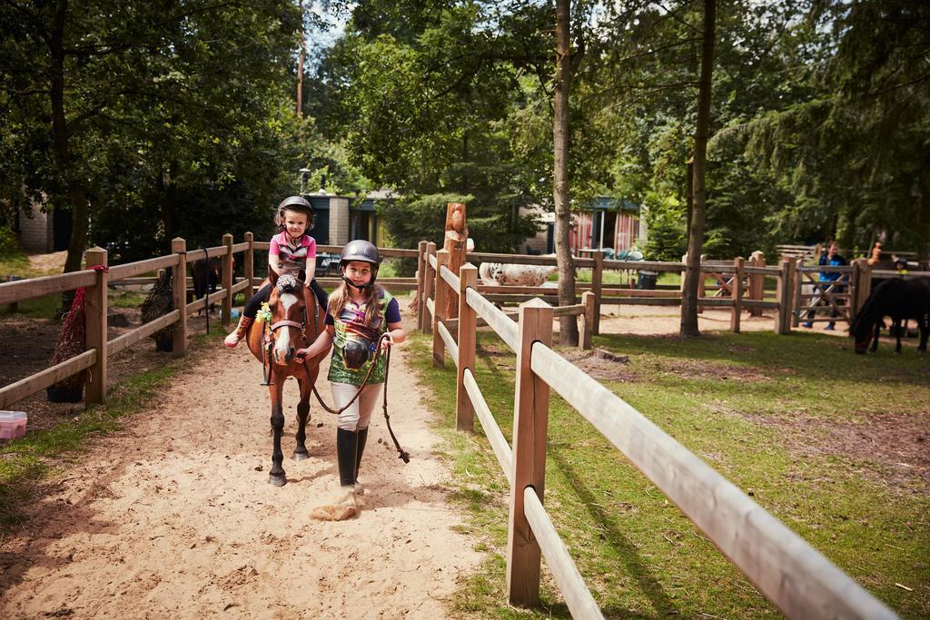 Hotel Center Parcs Erperheide Peer Exteriér fotografie